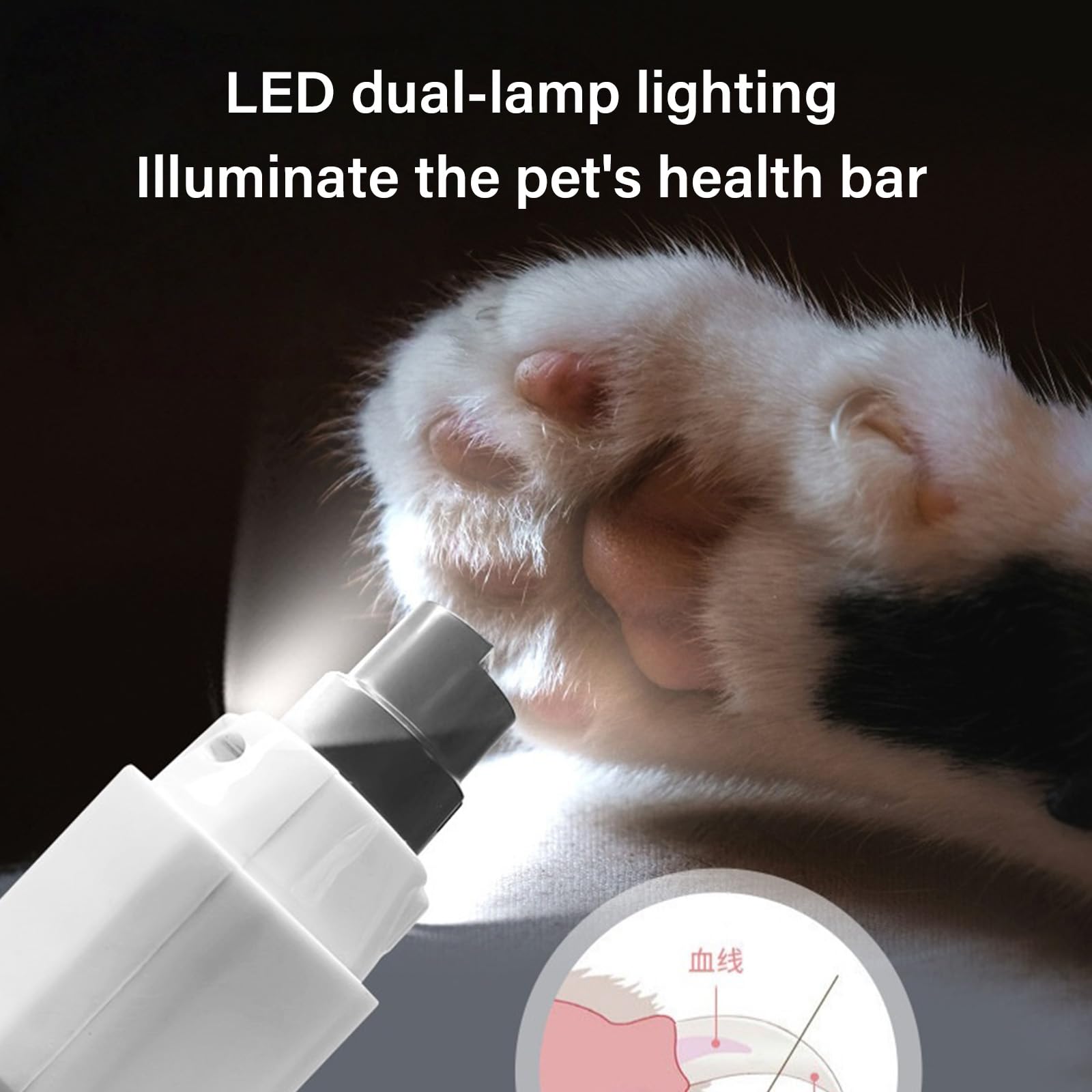 Broyeur professionnel pour griffes de chien avec 5 vitesses et écran LCD pour toilettage à la maison Double lumière