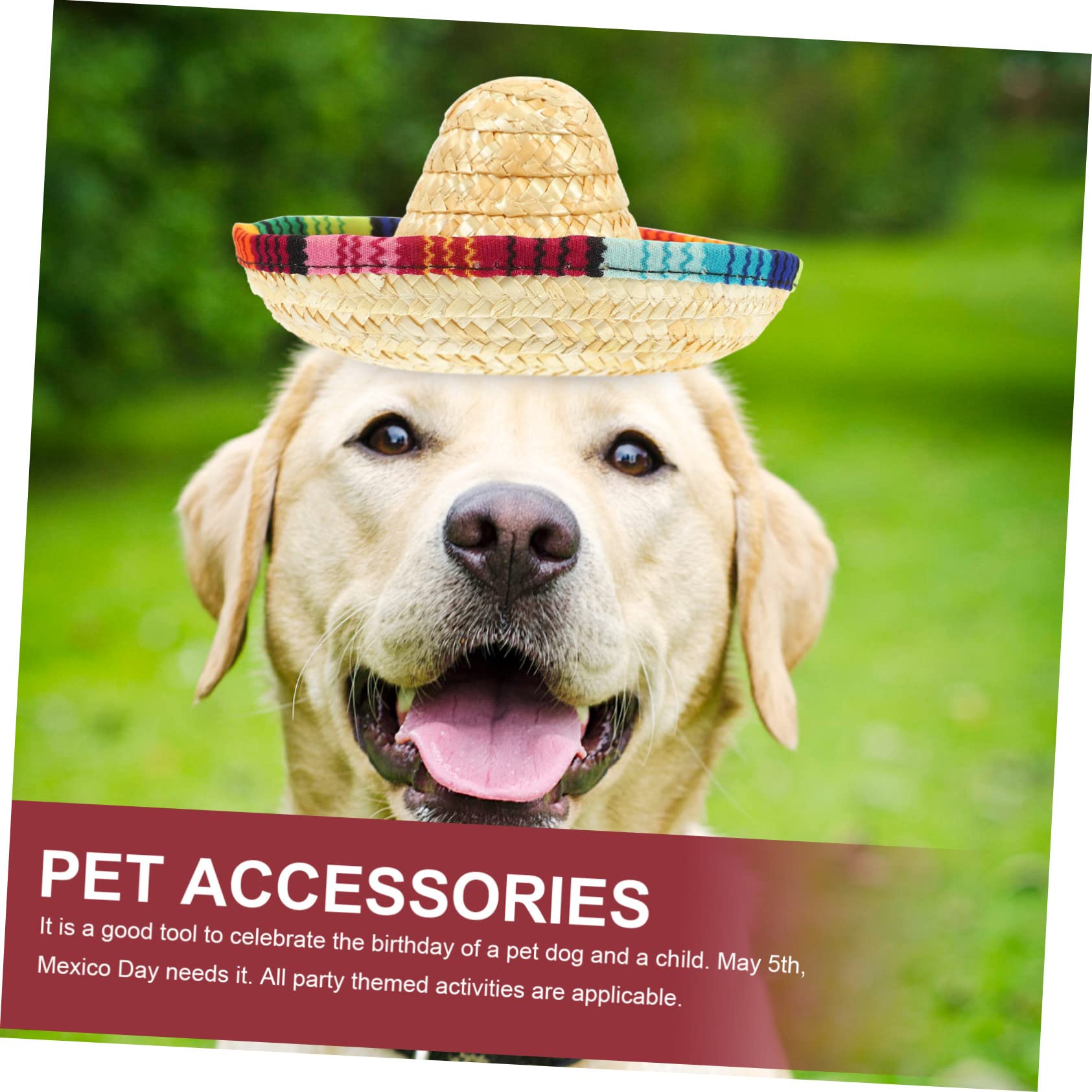 BESTonZON 10piezas Sombrero Mexicano para Mascota Mini Sombreros De Fiesta para Perros y Gatos para Exteriores o Eventos