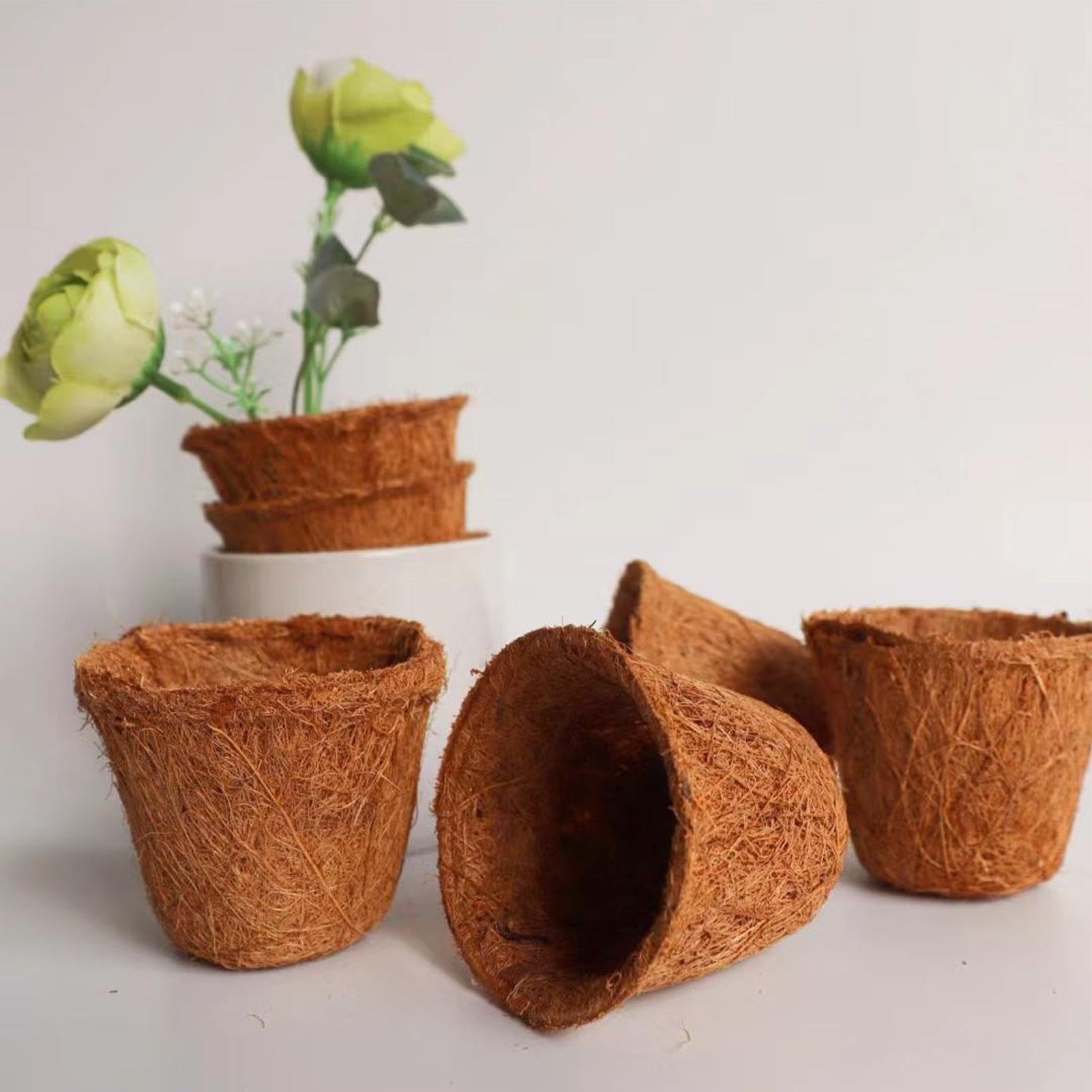 Lot de 10 pots de culture pour - En fibre de coco bio compostables - Respirants - Pour jardin, serre, cour, balcon, rebord de fenêtre, , intérieur