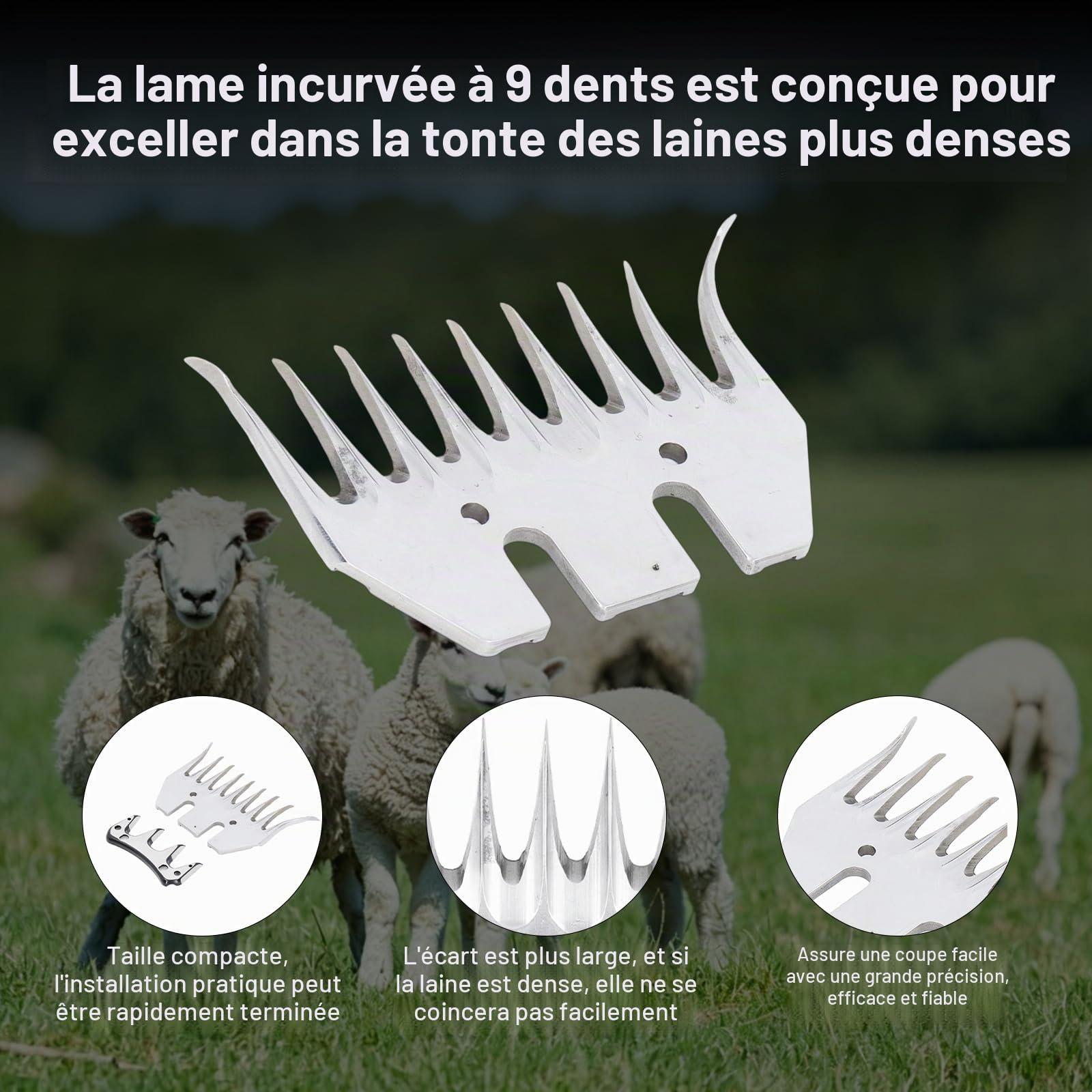 Lames de rechange pour cisailles à moutons,Coupe-laine électrique courbé à 9 dents,kit d'accessoires pour coupe-bordures pour moutons,chèvre tondeuse mouton tondeuse Lame de cisaille à mouton