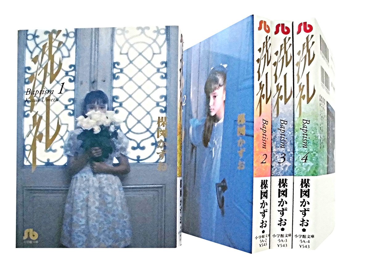 洗礼 コミック 文庫版 全4巻完結セット (小学館文庫)