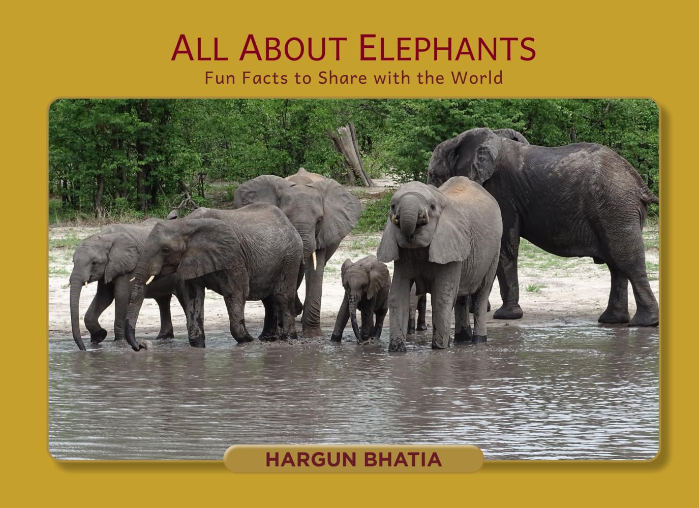 All About Elephants: Fun Facts to Share with the World