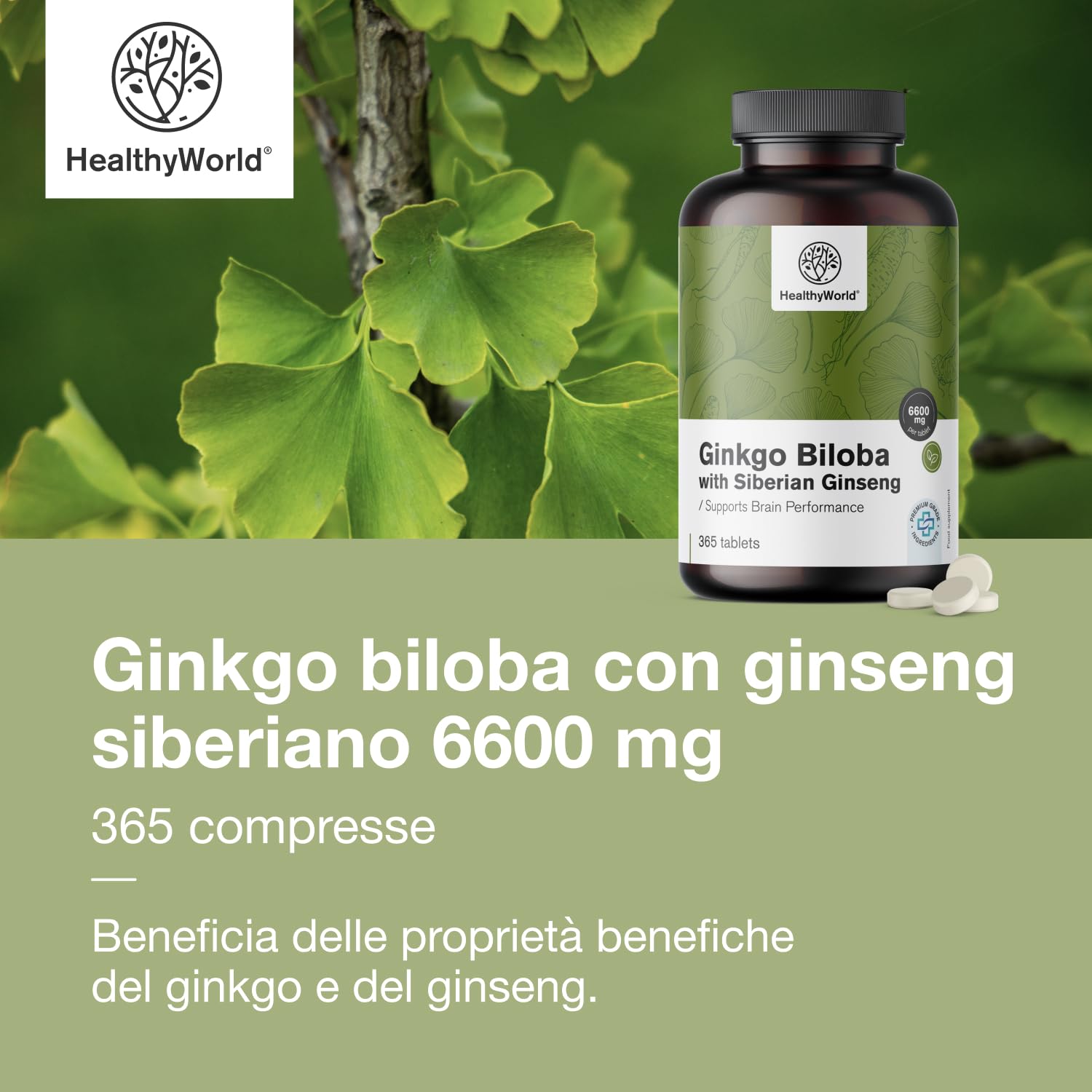 HealthyWorld® Ginkgo Biloba con Ginseng siberiano 6600 mg - Dose elevata, qualità premium - Per funzioni cognitive - 365 compresse per 1 anno di scorta - Estratto di ginkgo 50:1 (120mg) e 10:1 (60mg)