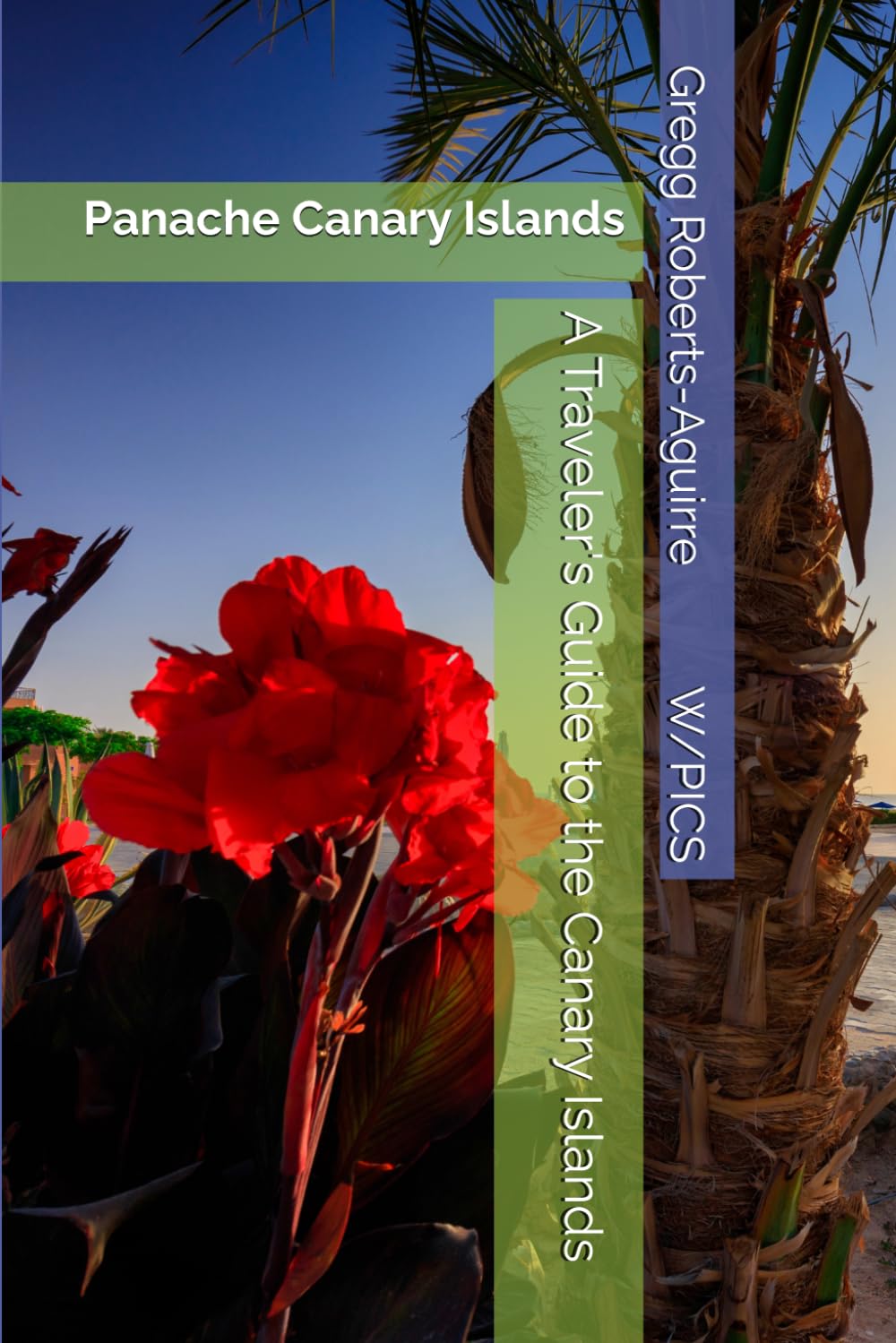 A Traveler's Guide to the Canary Islands: Panache Canary Islands (Panache Travel Guides with Pictures)