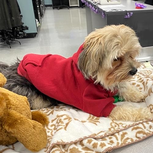 Miniatura 3 de Jecikelon - Sudadera con capucha y bolsillos, cálida para invierno, para perros pequeños, ropa de abrigo para chihuahuas, disfraz para cachorros,