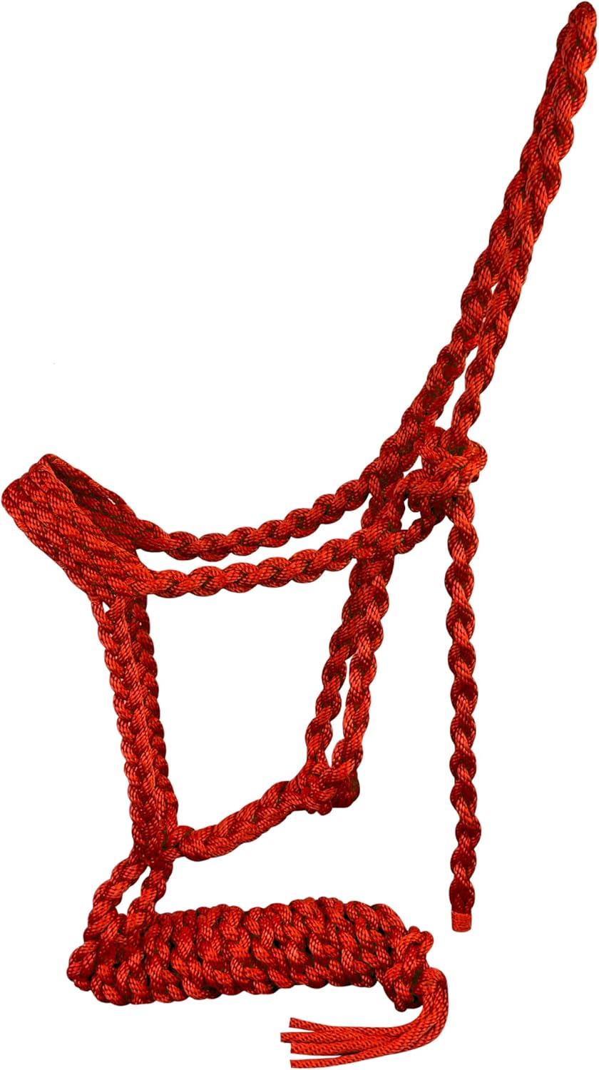Showman Braided Nylon Mule Tape Halter w/ 8' Lead