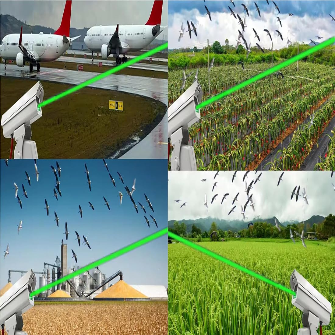 Odstraszacz ptaków z kontrolą aplikacji, wodoodporny, automatyczny odstraszacz ptaków IP66 do gospodarstw rolnych, lotnisk i farm solarnych, zasięg 300 m², obrotowy tempomat 360° A