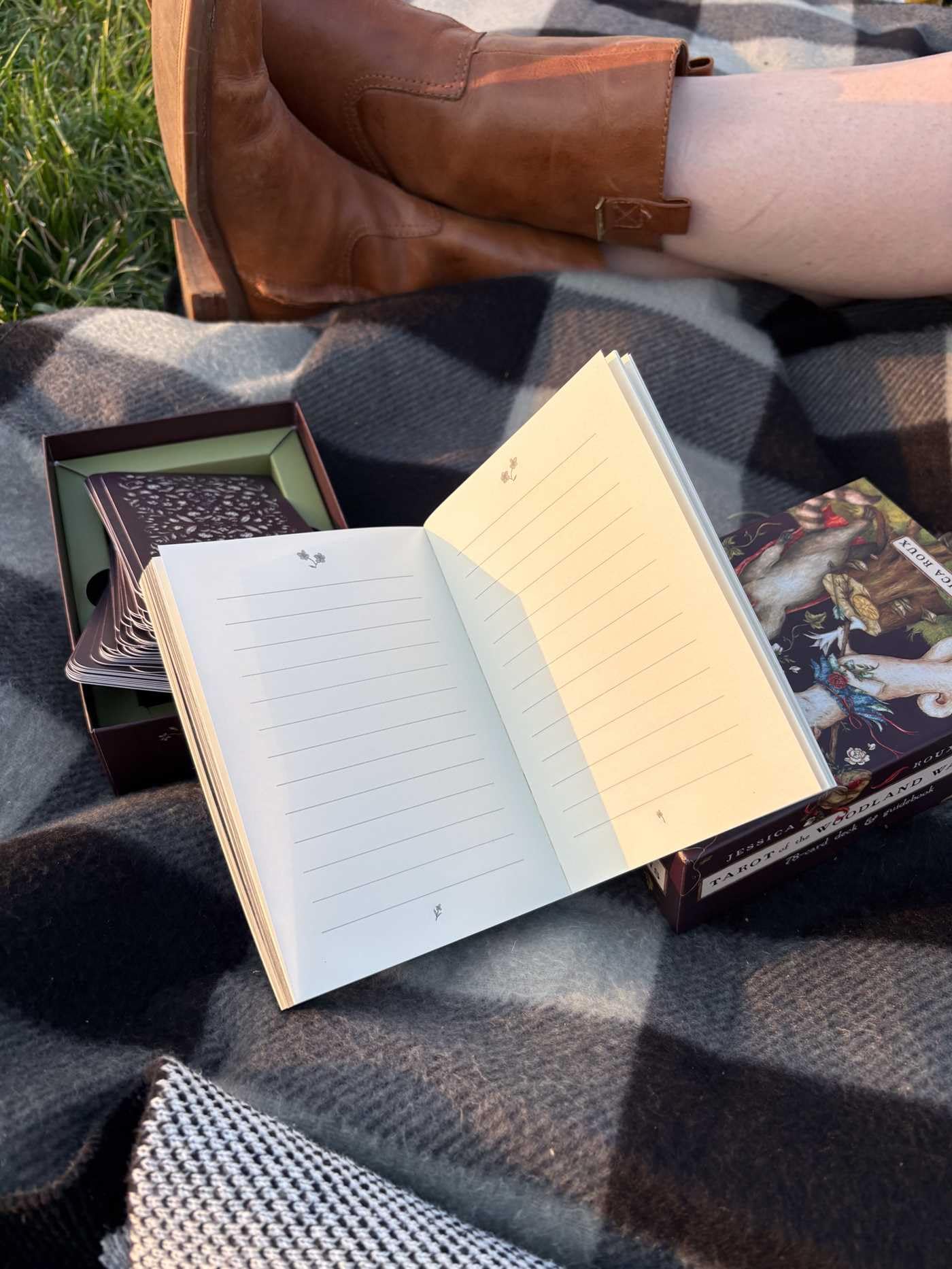 Tarot of the Woodland Wardens: 78-Card Deck & Guidebook