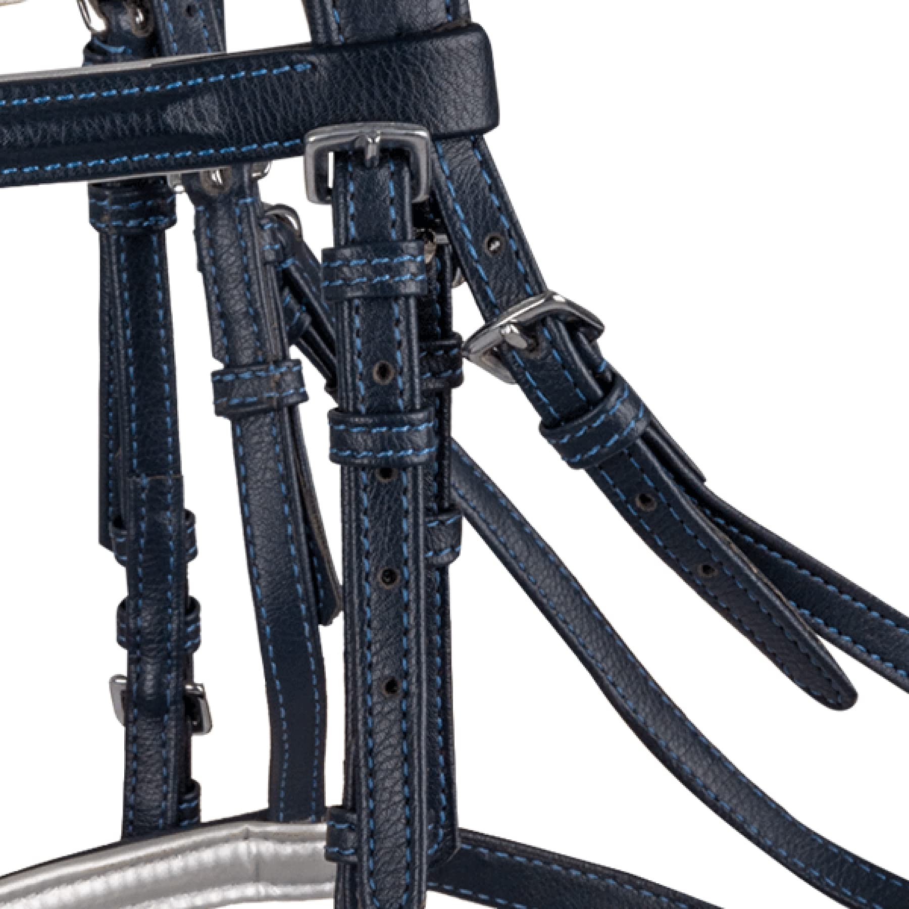 WALDHAUSEN Briglia Lucky Heart, MSH, blu