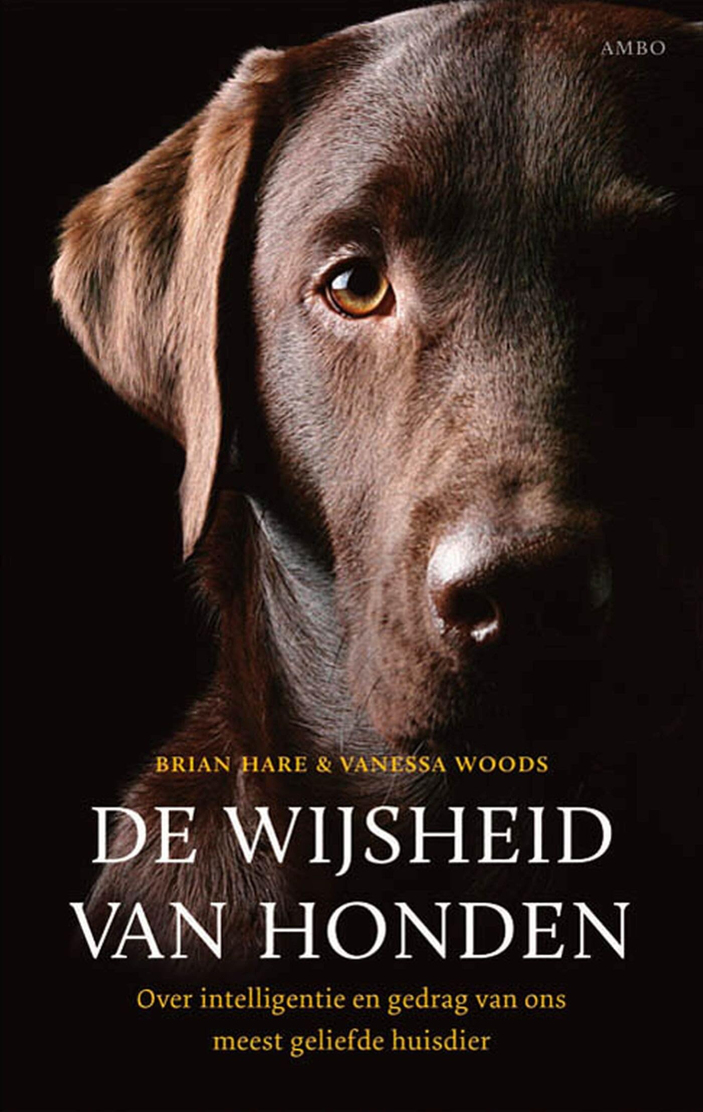 De wijsheid van honden: over intelligentie en gedrag van ons meest geliefde huisdier