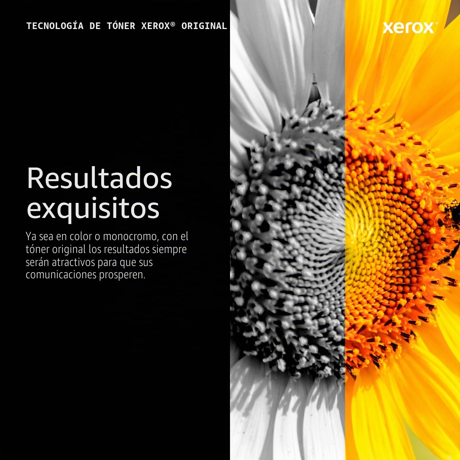 Xerox Original B210 / B205 / B215 Negro Cartucho de Tóner Estándar Capacidad (1,500 Páginas) - 106R04346