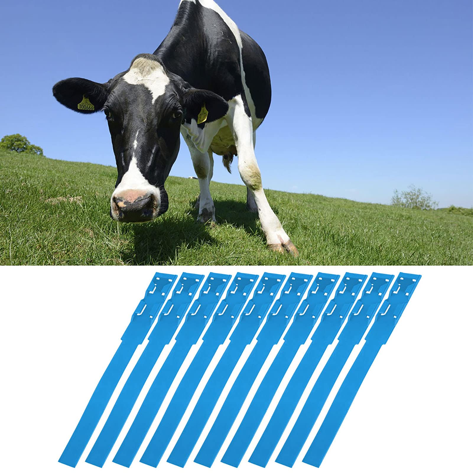 Vieh Identifikationsbänder 10 Stück Blau - Wiederverwendbare Tierkennzeichnung
