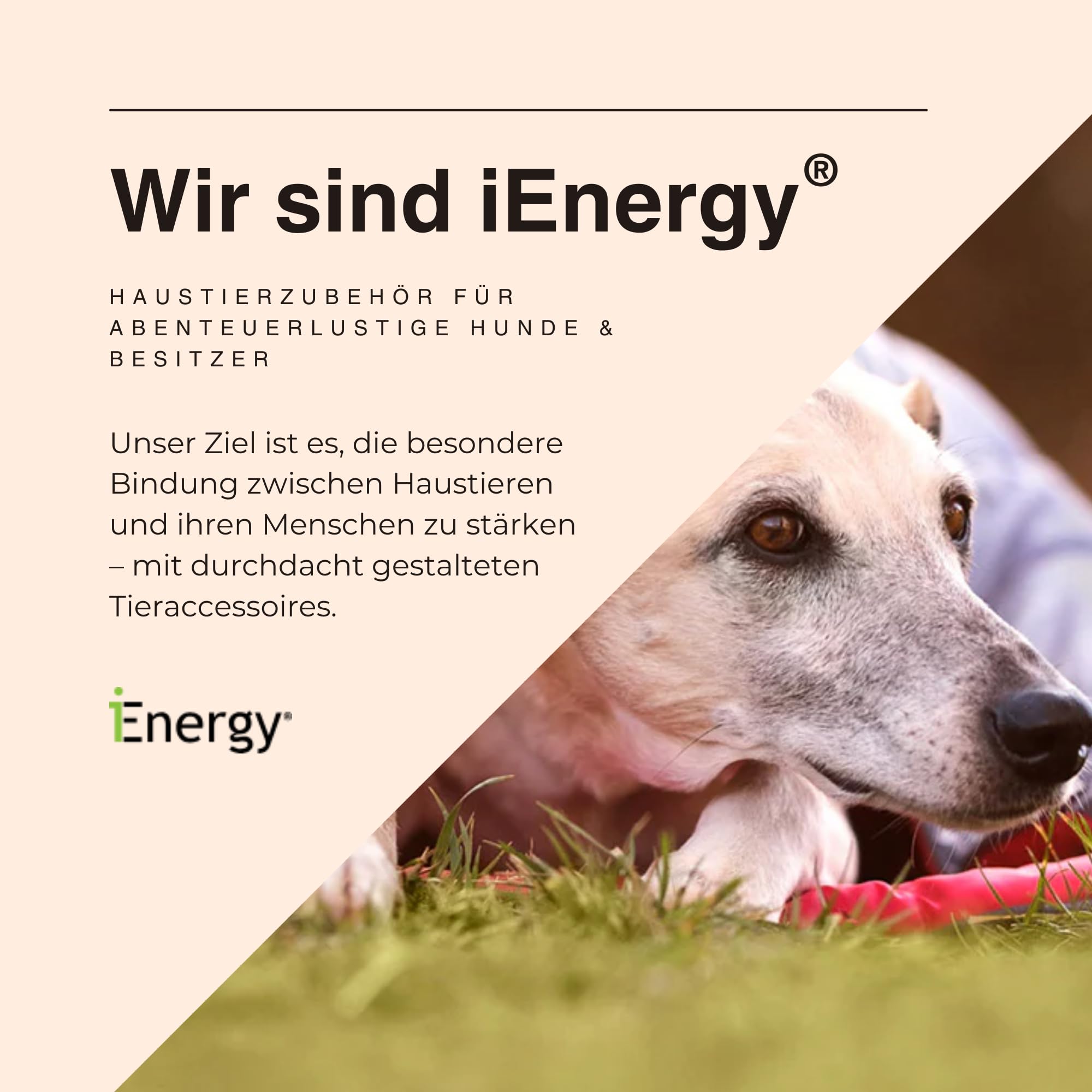 iEnergy Zaino per cani MAL - Zaino per cani - Zaino resistente alle intemperie per cani - Zaino da trekking ben imbottito, Rosso, Piccolo