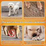 Ver la foto 5