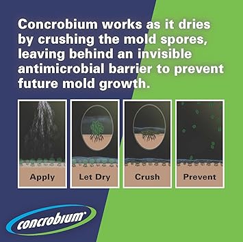 Concrobium Mold Control, 1 Gallon, Mold and Mildew Cleaner for Hard Surfaces, Helps Eliminate and Prevent Mold and Musty Odors, No Bleach Formula for Indoor and Outdoor Use