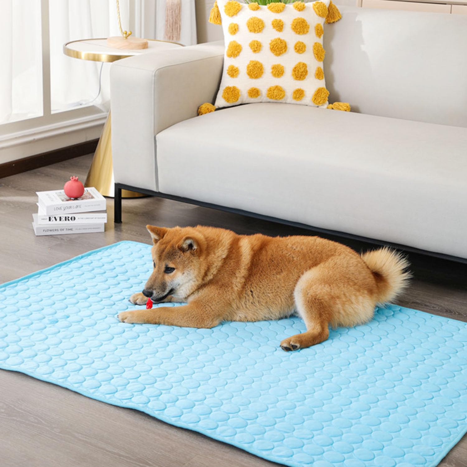 YXHZVON Alfombrilla Refrescante para Mascotas, Manta Refrigerante Perro, Cama Frio Animales Colchon Mascotas para Verano, 100 x 70 cm, XL, Azul