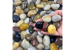 Charming Pebbles for Lush Indoor Plant Decor and Outdoor Garden Accents