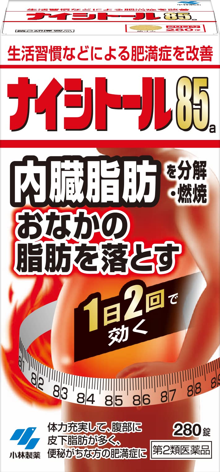 【40%OFF】【2,719円】 小林製薬 第2類医薬品 ナイシトール85a 280錠