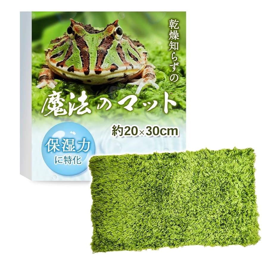 カエルのマット 61M6qg2uA0L.jpg_BO30,255,255,