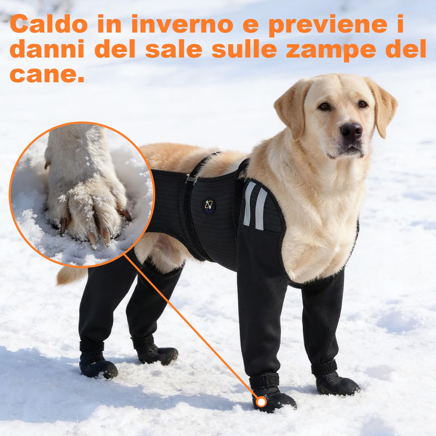 COODEO Calzini Impermeabili per Cani 4 Zampe, Antiscivolo, Protezione Anti-Leccamento, per Ferite, Pioggia, Neve e Cura Post-Operatoria (Nero, L)