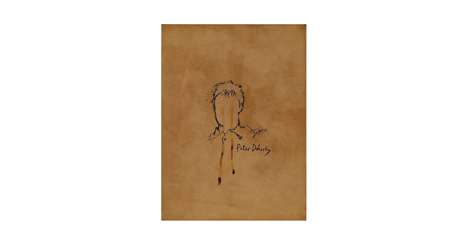 アート・デザイン・音楽 The Collected Writings of Peter Doherty The Books of Albion: The Collected Writings of Peter Doherty