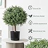 Product Photo 5