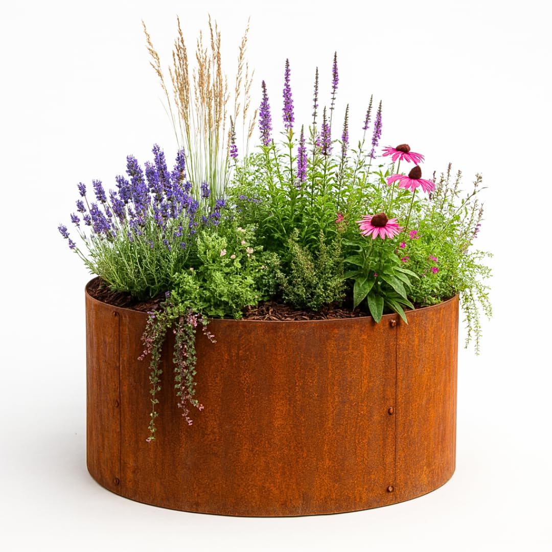 Czaja Pflanzring Cortenstahl 80 x 40 cm | Runde Beeteinfassung & Beetumrandung für den Garten – Wetterfest