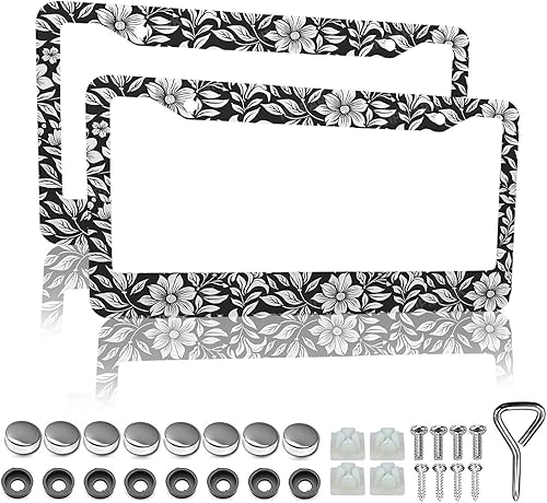 Miniatura 15 de Marcos de matrícula retro de rayas - 2 paquetes de soporte de matrícula divertidos y personalizados de acero inoxidable para piezas decorativas de