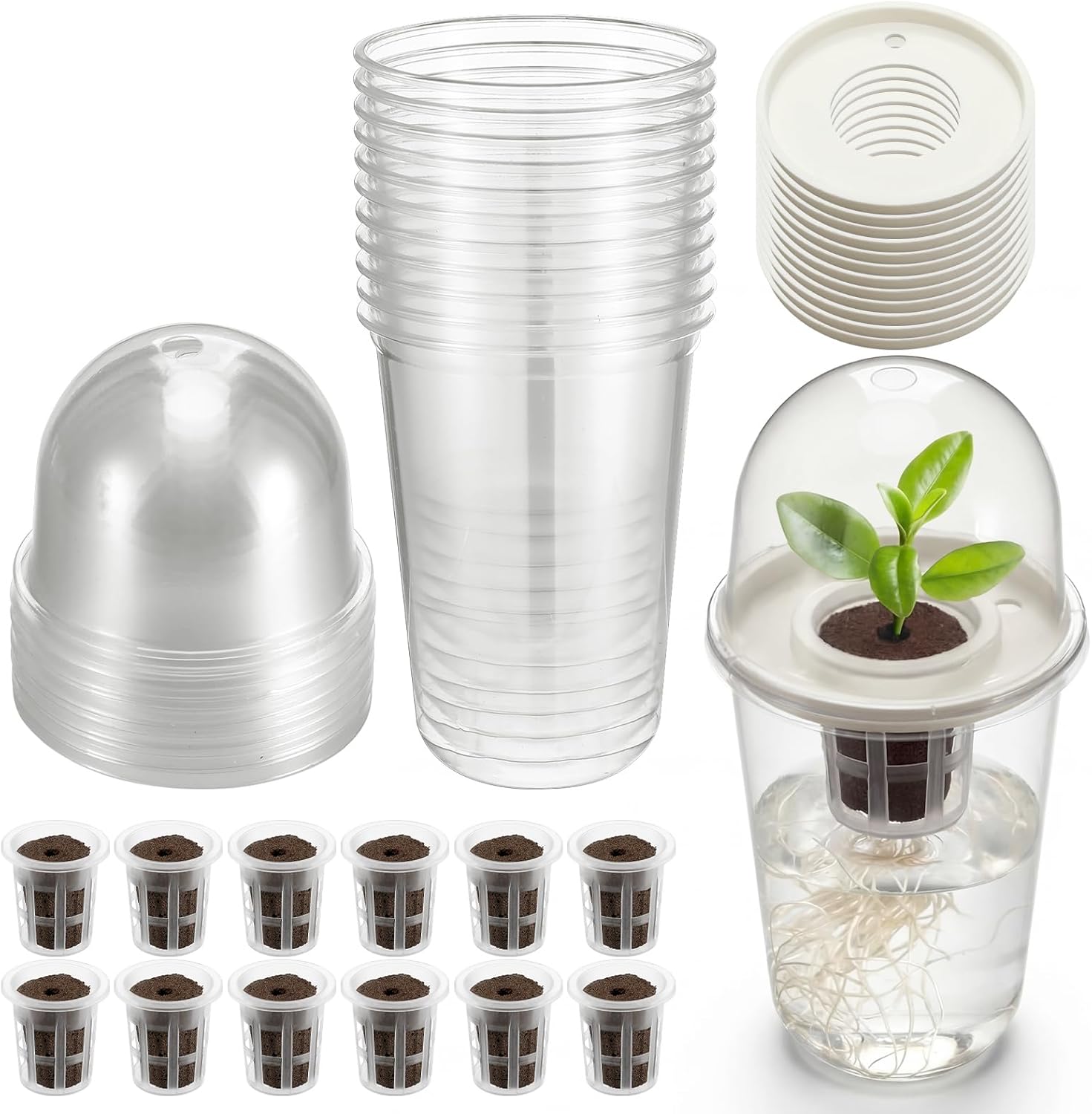 12 Pack 3.54 in Clear Hydroponic Nursery Kit with Humidity Dome Transparent Plant Starter Hydroponic Pots for Seed Starting Gardening Flower Plant Pots Germination Nursery Pot