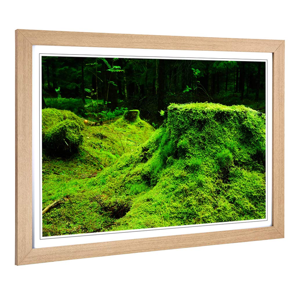 Big Box Art Framed Print of Landscape Forest Moss Norway Design | Wall Art Picture | Home Decor for Kitchen, Living, Dining Room, Bedroom, Hallway, Office, Oak, A2 / 24.5x18 Inch / 62x45cm