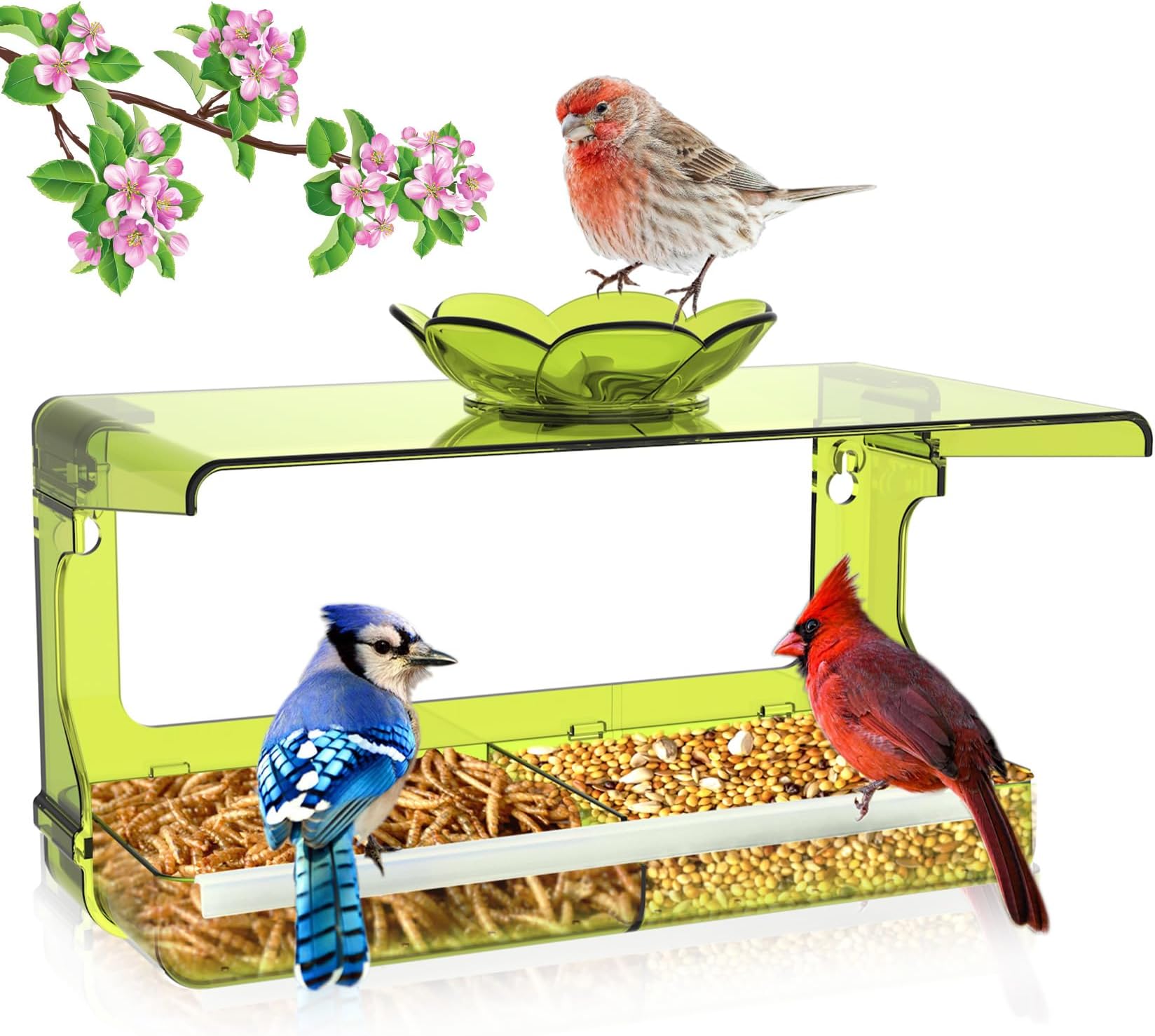 Window Bird Feeder with Non-Marking Self-Adhesive Hooks, Green Window Bird House, Bird Watching Gift, Garden Decor