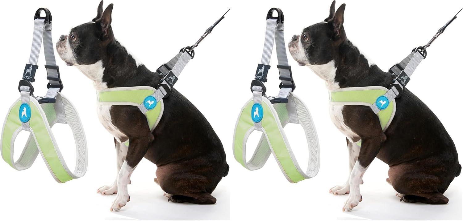 Gooby Simple Step III Harness - Blue, Small - Dog Harness with Scratch Resistant Outer Vest - Soft Inner Mesh for Small, Medium Dogs (Pack of 4)