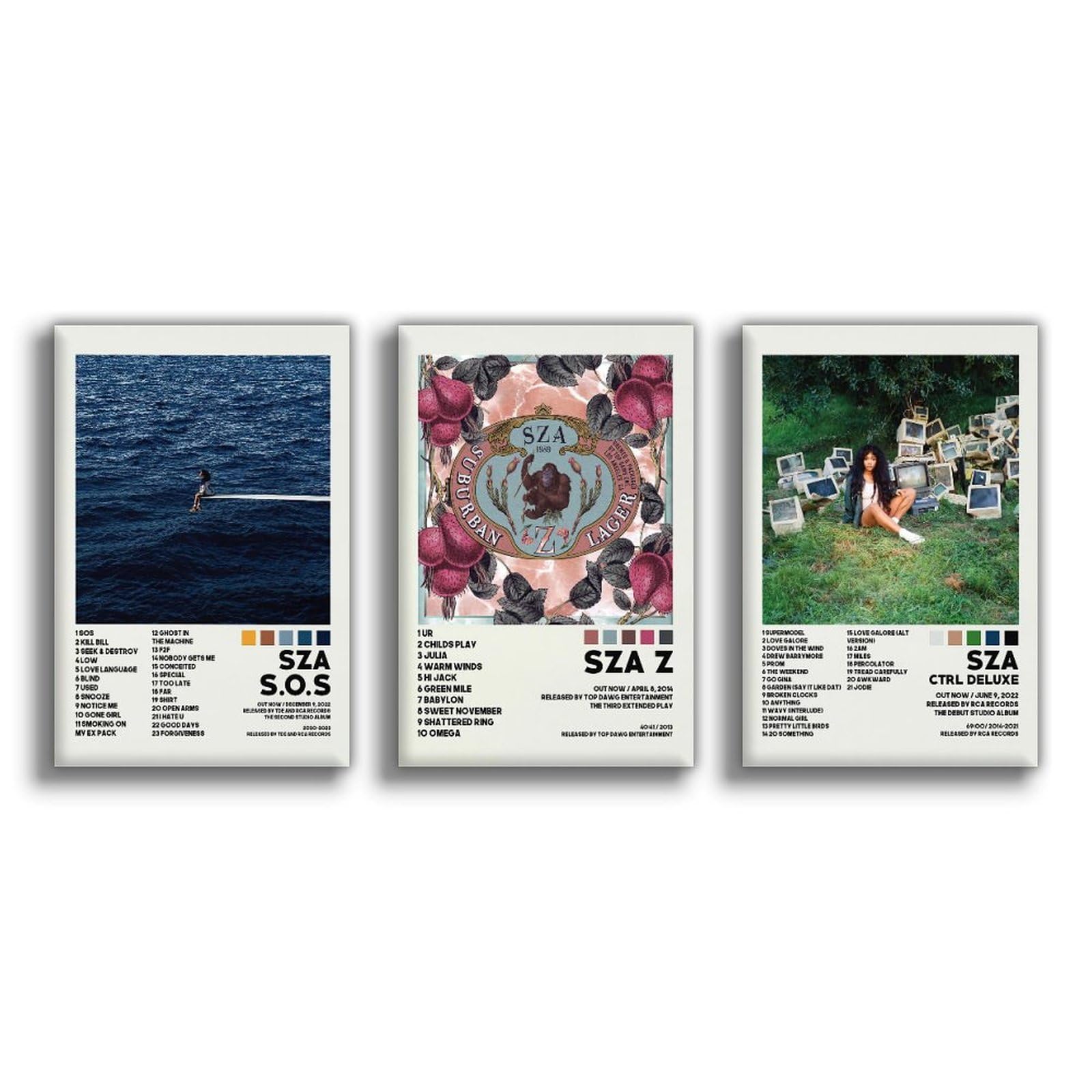oooac A Set of 3 album canvas posters,sza Poster CTRL DELUXE Poster, Album Aesthetics 3 Piece Set,16x24IN Canvas Prints Unframed Set of 3