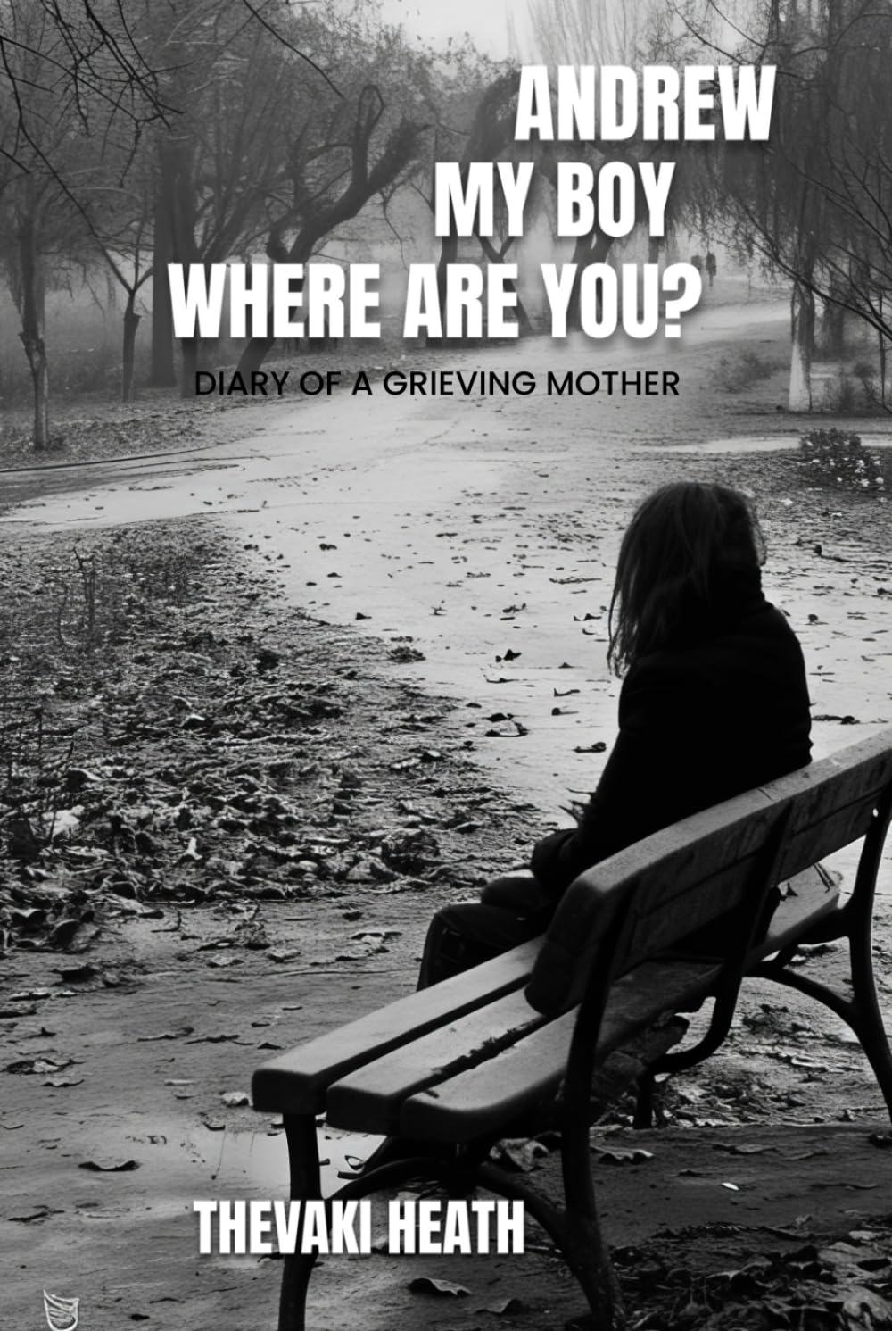 ANDREW, MY BOY, WHERE ARE YOU?: THE DIARY OF A GRIEVING MOTHER