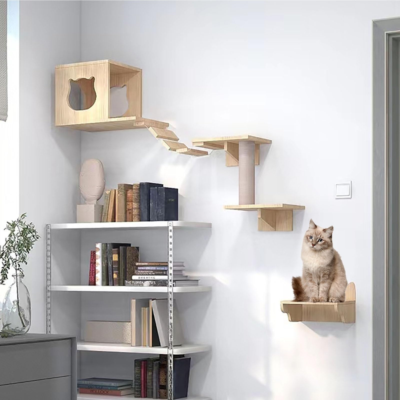 Amazon.co.jp: キャットステップ、キャットウォーク、猫用壁棚セット