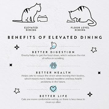CatGuru Food Table for Cat Bowls, Elevated Feeding Station for Cat Food Bowl, Raised Stand for Pet Food and Water Bowls, Pet Feeder for Indoor Cats, Stress Free Stand for Pet Dishes or Plates (Grey)
