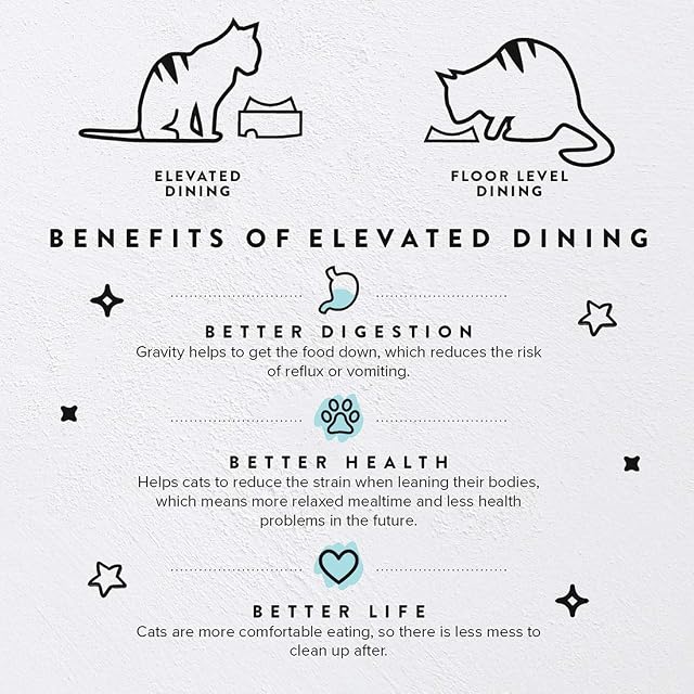 Foto 2 de 8 de CatGuru Mesa de Comida para Cuenco para Gatos, estación de alimentación Antideslizante para Mascotas