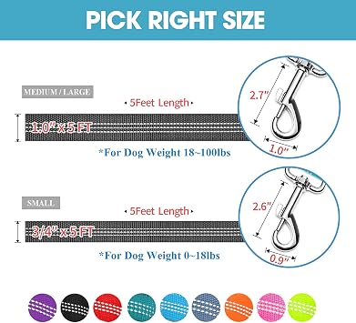 BAAPET 5 Feet Nylon Dog Leash with Triple Reflective Threads and Comfortable Padded Handle for Walking, Training Lead Small Puppy, Medium and Large Dogs (1.0'' x 5 FT, Black)