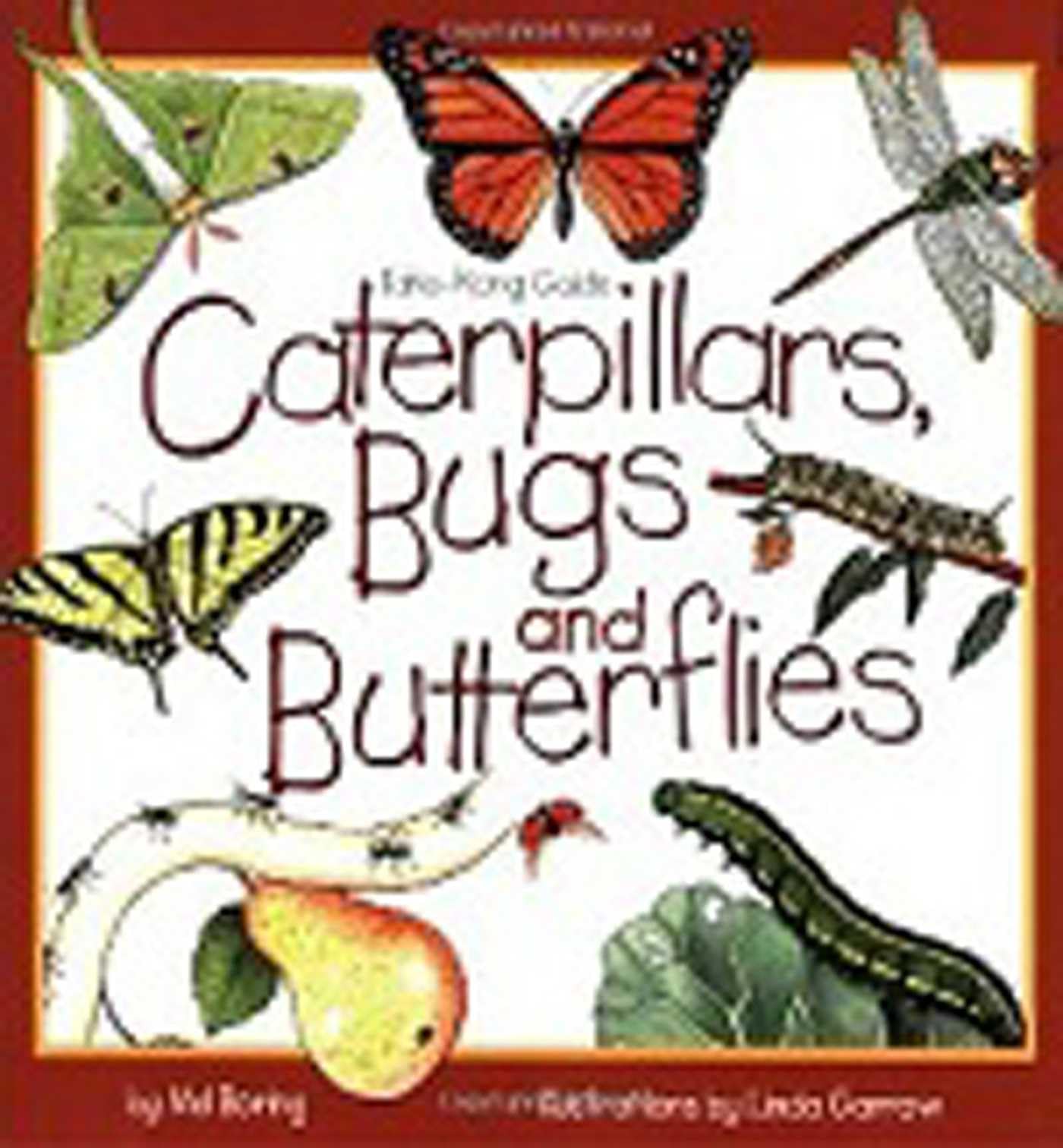 Caterpillars, Bugs and Butterflies (Take Along Guides) Paperback – January 1, 1999