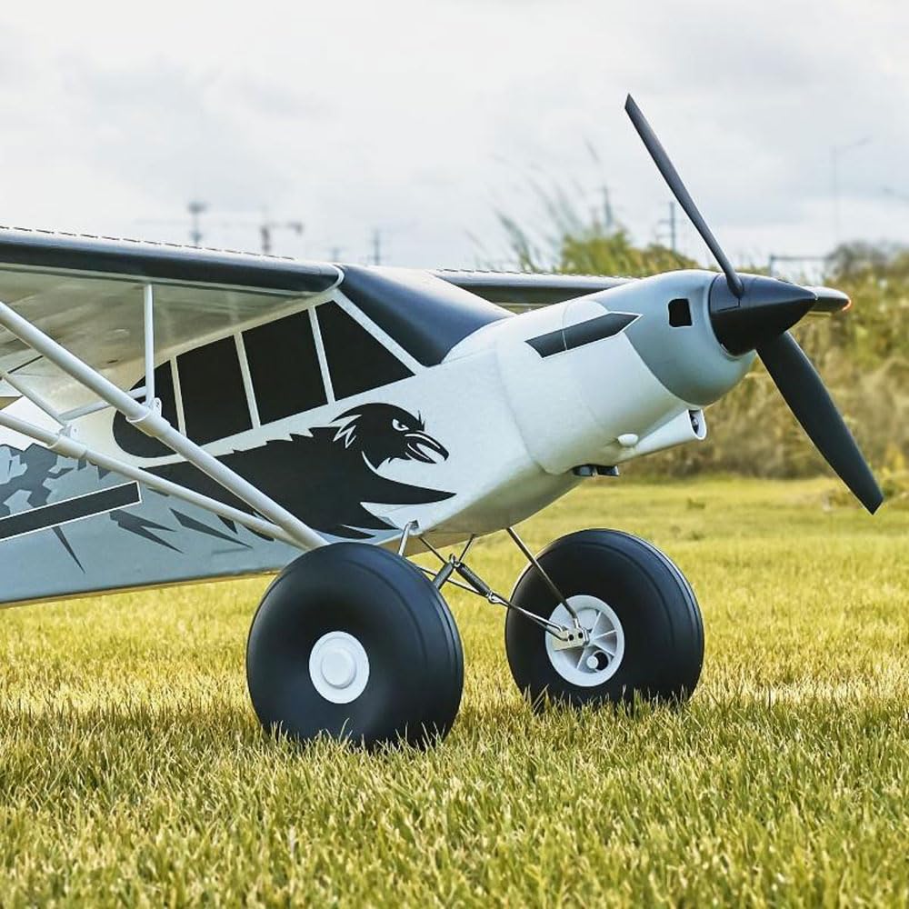 GUYANA Avion télécommandé à 6 canaux, envergure de 1200 mm (47.2 Pouces), avec Volets et lumières LED, Spectacle d'avions Rc pour Adultes RTF