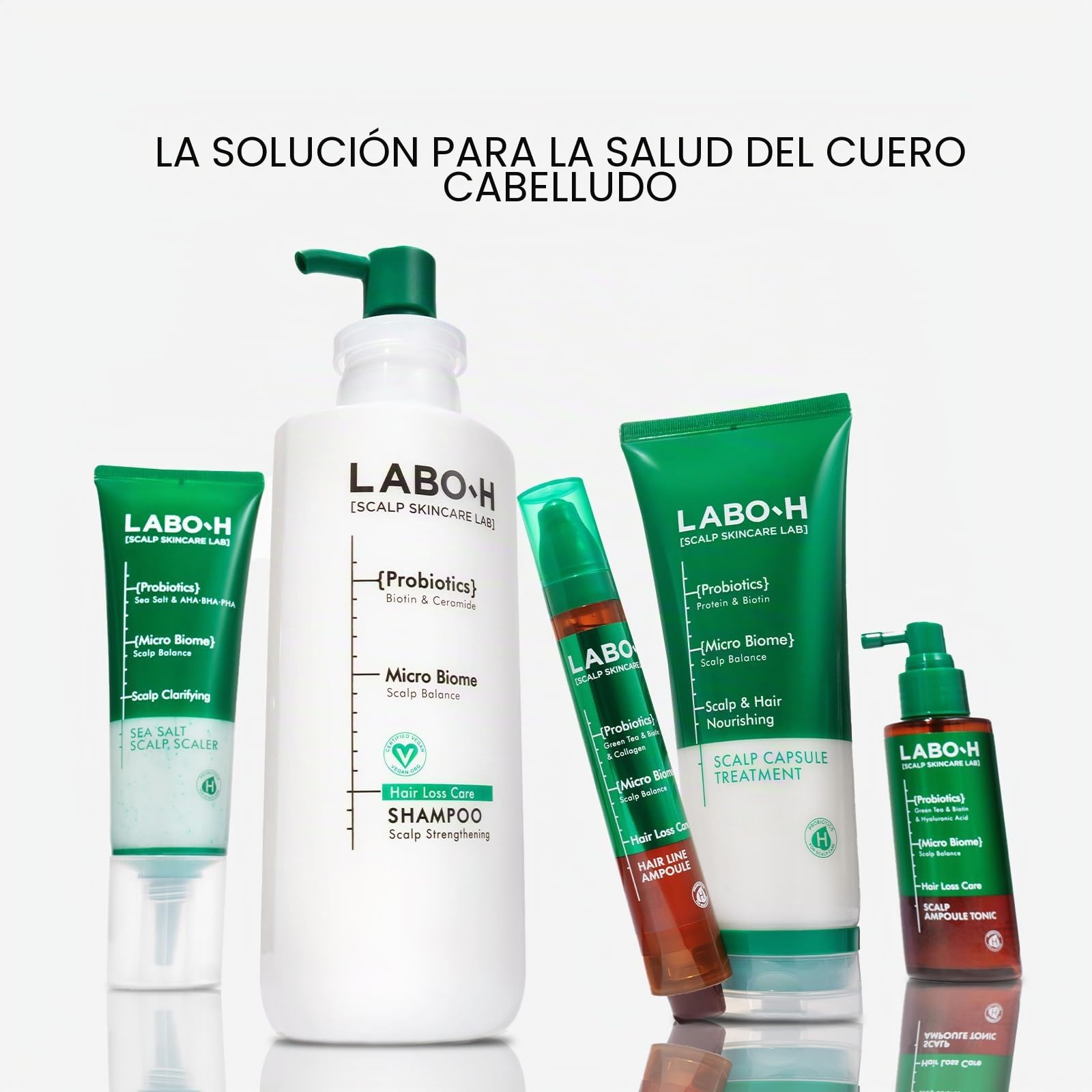 LABO-H Champú Fortalecedor De Piel Cabelludo Para El Crecimiento Del Cabello Y Anticaída | Rutina Vegana De Cuidado Del Cabello Con Ceramida, Aceite De Romero, Biotina Y Cafeína, Sin Parabenos
