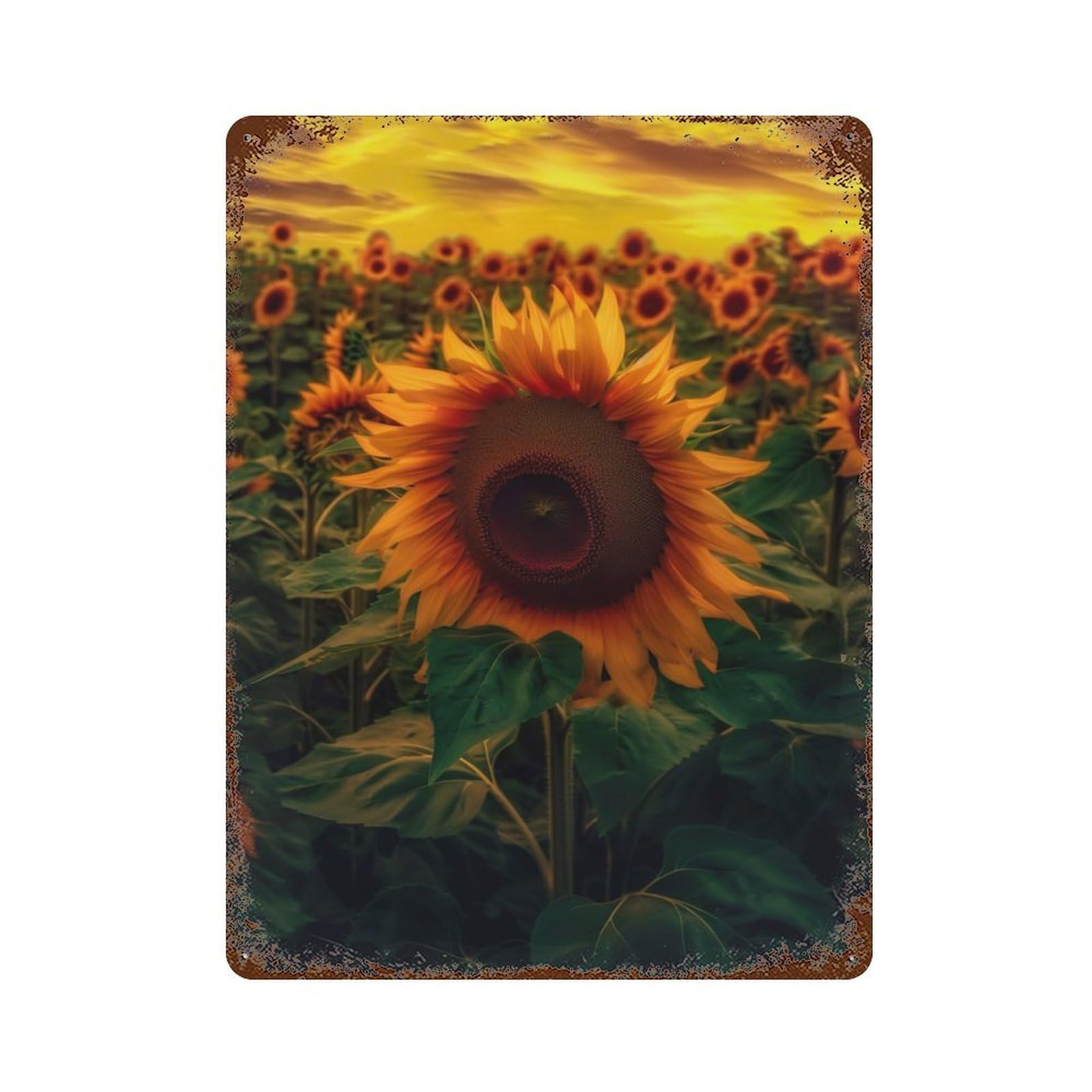 Sunflower Yellow Sky Cloud Retro Metal Sign 15.7"x11.8", Classic Wall Plaque for Garage, Pub Or Kitchen