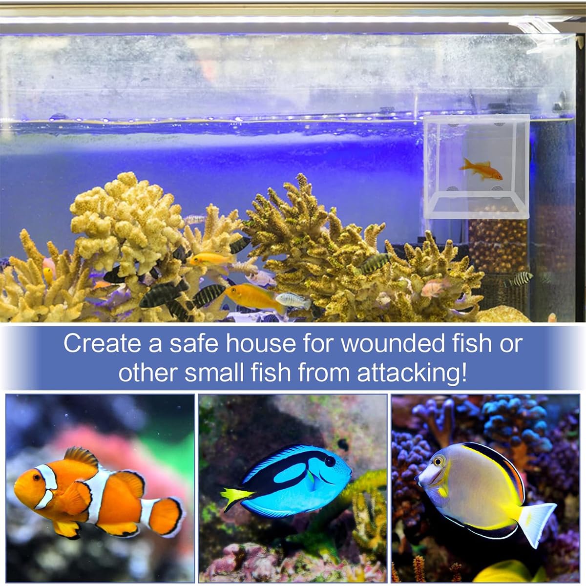 Scatola Di Allevamento Di Pesci,Incubatore Di Pesce Scatola,Isolamento Allevatore Di Pesci,Acquario Serbatoio Da Incubazione,Maglia Per Acquario Con Ventosa,Vivaio Di Pesci Acquario Rete,Kiuiom