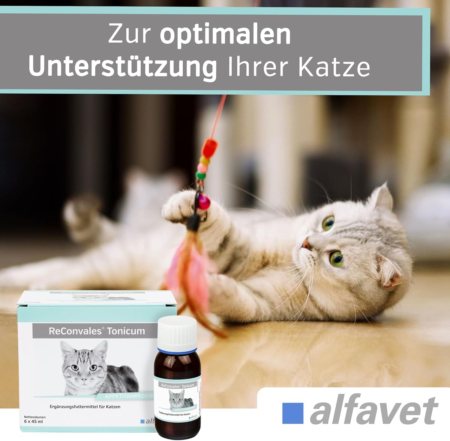 Alfavet ReConvales Tonicum Gatto (6 x 45 ml) – Mangime complementare liquido ad alta energia per gatti – con nutrienti selezionati, elevata appetibilità