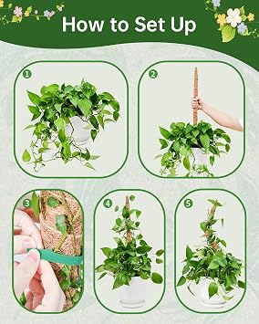 Bendable Moss Pole for Plants, Garden Sage 2 Pieces of 23.6 Inch/60 cm Monstera Cheese Plants Moss Pole kit, Handmade Stakes for Indoor and Climbing Plants
