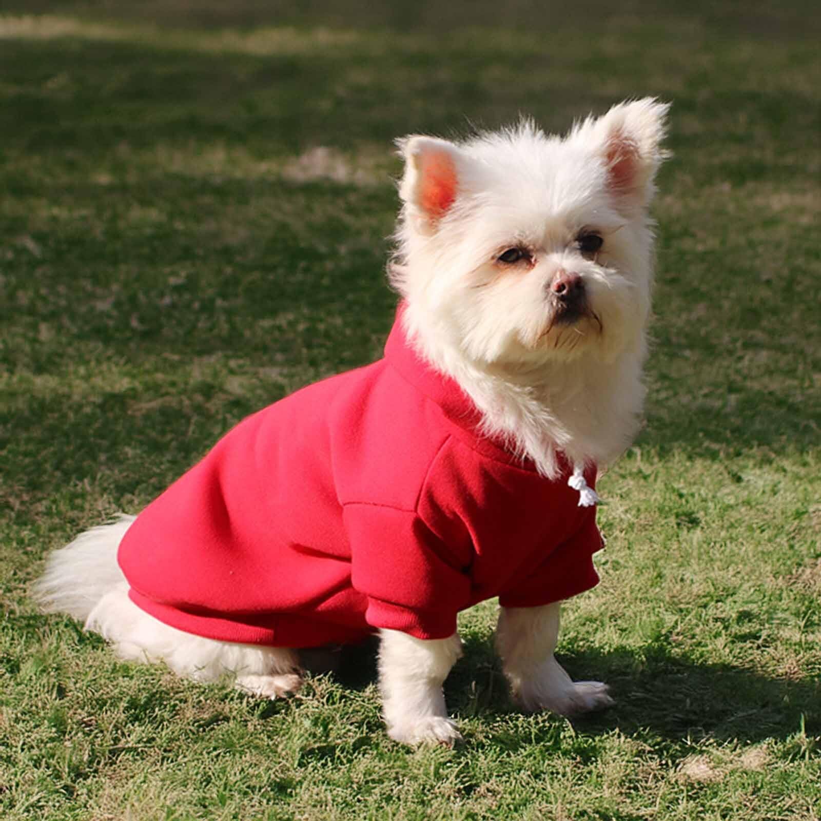 Monkimau Hundepullover Hoodie für kleine bis große Hunde – Warmer Fleece – Herbst- und Winterkleidung – XS bis XXXL – 10 Farben (Blau, XS)
