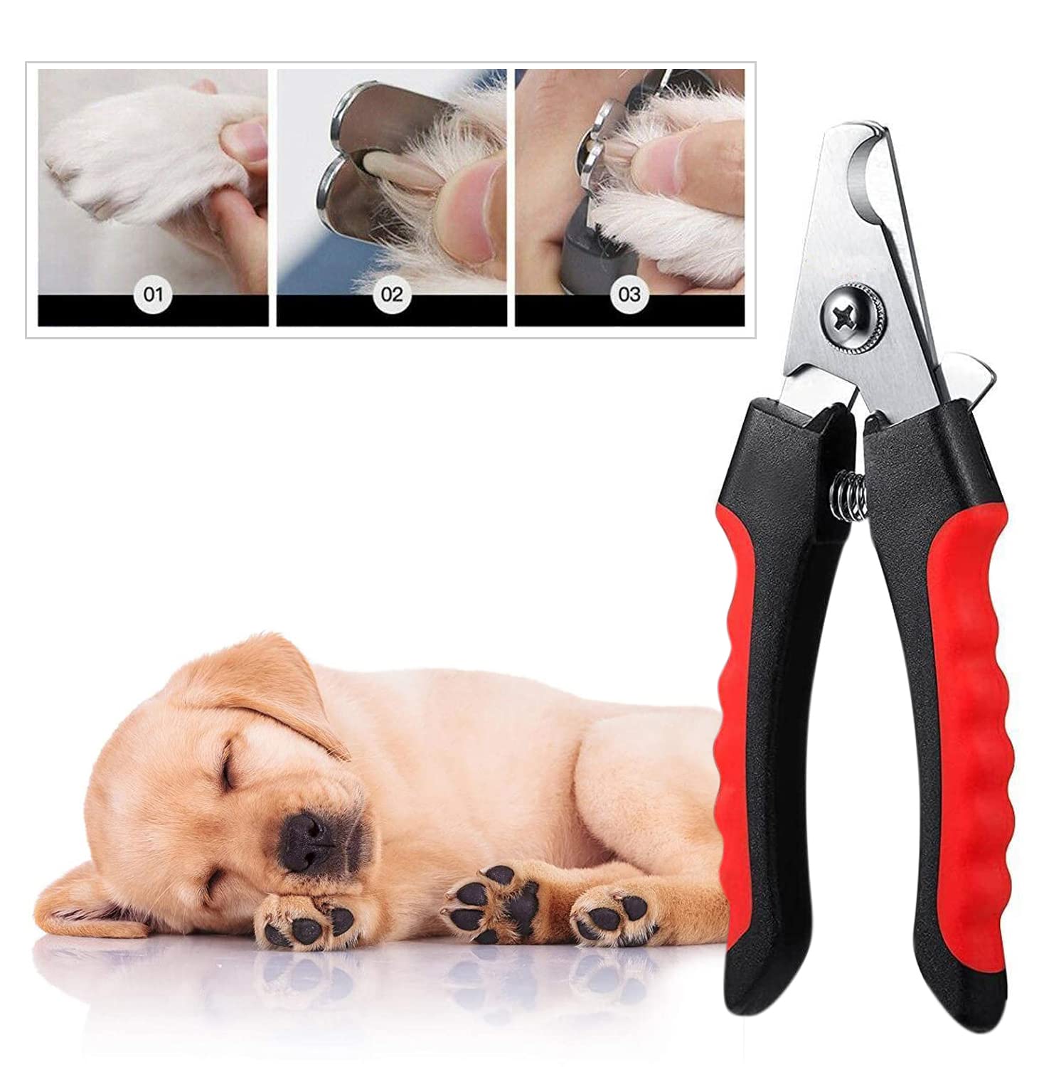 Sage Square pet Nail Cutter, Clipper, Safe, Stainless Steel, Sharp Blade, Stress-Free, Smooth, Quick and Sharp cuts, Comfortable,Easy Grip, Perfect for Like Rabbits, Dogs, Cats, Puppies (12cm)