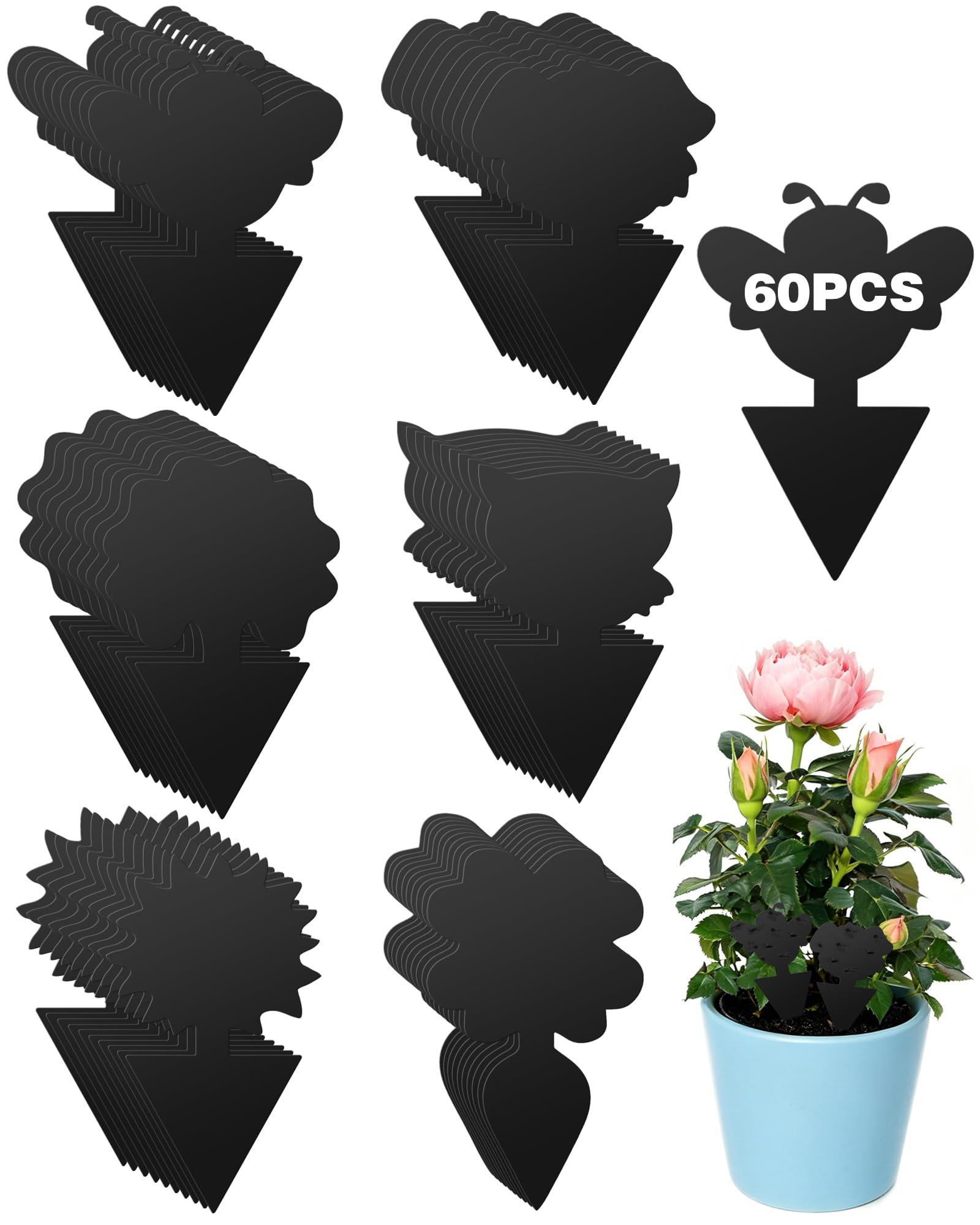 Acual 60 Pack Fruit Fly Traps, Double-Sided Sticky Fruit Fly Fraps Indoor, Fungus Gnat Sticky Traps, Non-Toxic, Waterproof Pest Control for Home & Kitchen