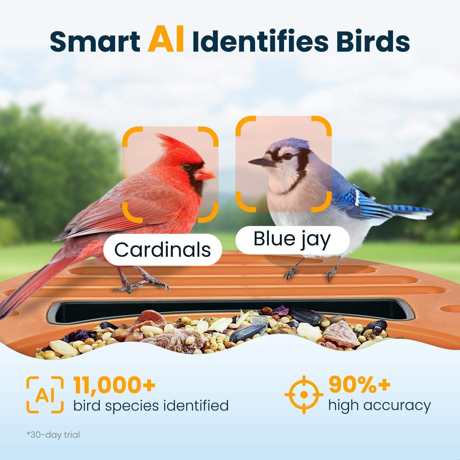 Smart Bird Feeder with Camera - Solar Powered -3