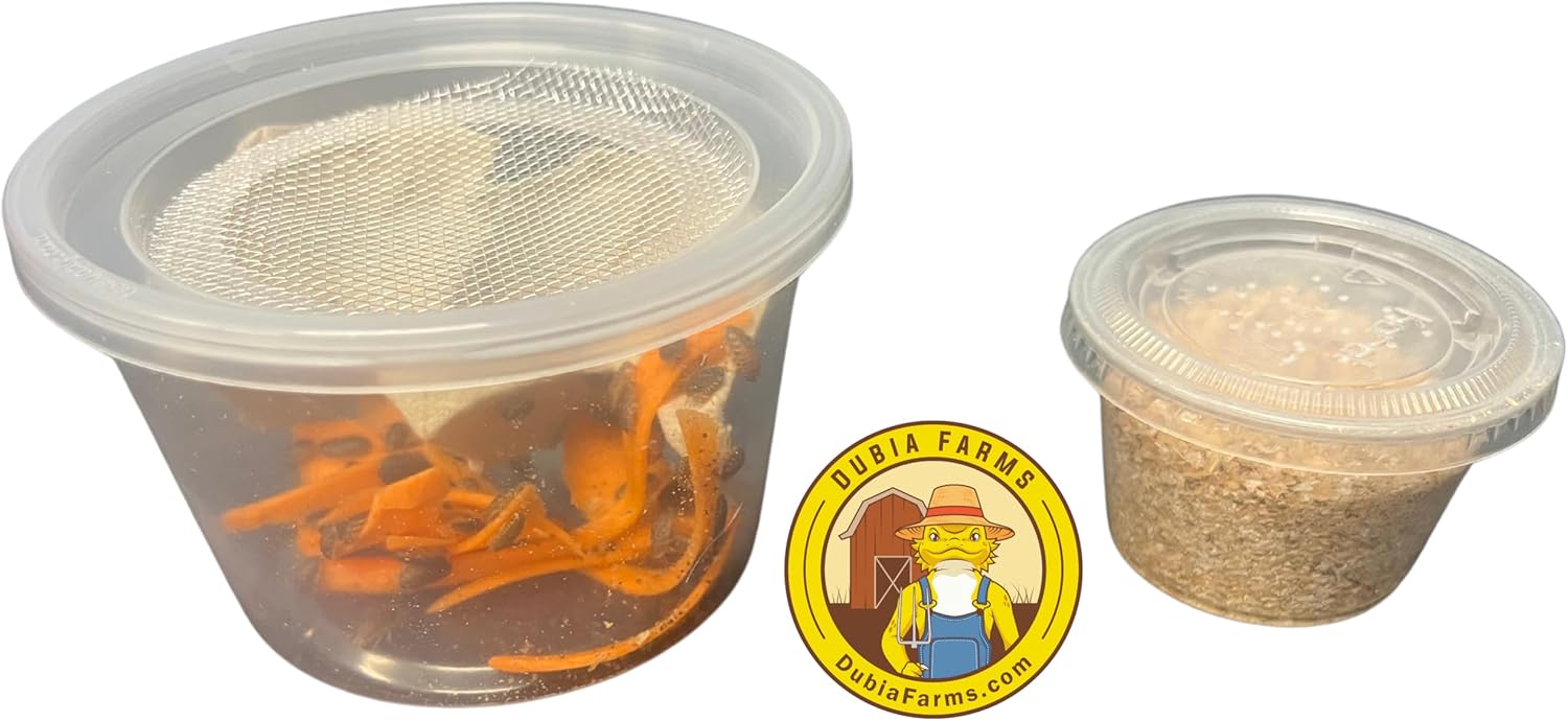 100 Extra Small Live Dubia Roaches + 100 Mealworms in Container Live Reptile Food for Bearded Dragons Turtles Lizards Frogs & Toads Feeder Insects